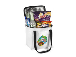 Artic 12-Can Cooler