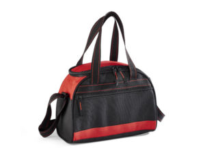 Brisk 9-Can Cooler Bag