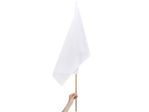 LETS_Champion-Large-Hand-Flag-900-X-600Mm-LetsAdvertisePDCGSUR-J8IGQ-1