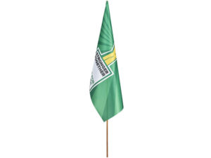 Champion Large Hand Flag 900 X 600Mm