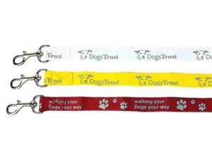 Dog Leash