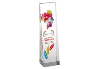 Hubris Award