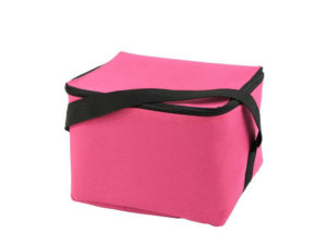 Laramie 6 Can Cooler