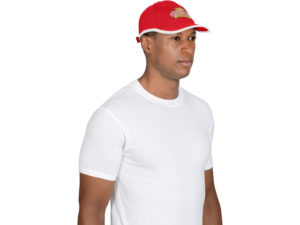 New Jersey 6 Panel Cap