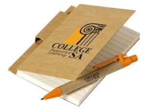 Script Notebook
