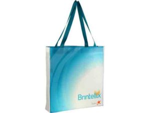 Wilburn Shopping Bag