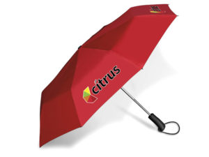 Wimsical Compact Umbrella
