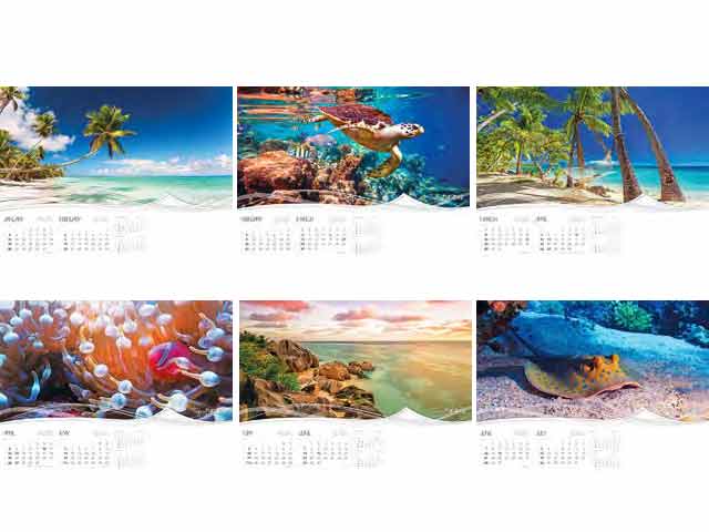 13 Page Executive Tropical Wall Calendar - Image 2