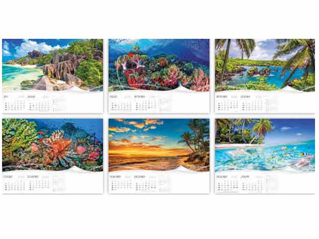 13 Page Executive Tropical Wall Calendar - Image 3