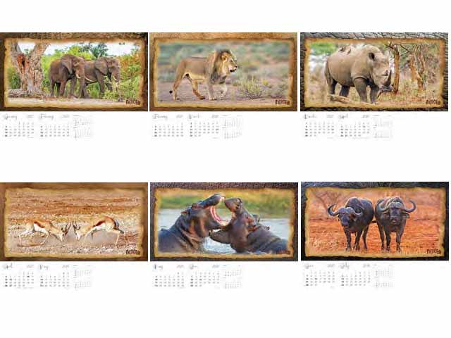 13 Page Executive Wildlife Wall Calendar - Image 2