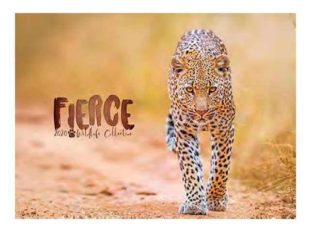 13 Page Executive Wildlife Wall Calendar
