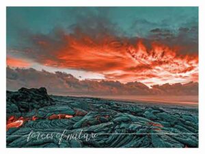 7 Page Executive Scenic Calendar