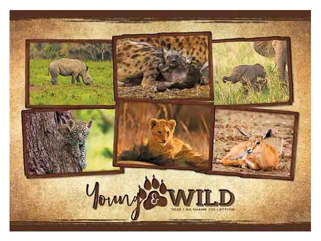 7 Page Executive Wildlife Wall Calendar