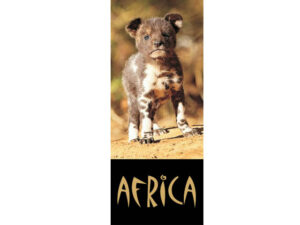 African Animals Mag Mark