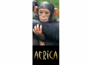 African Animals Mag Mark