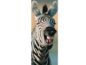 African Animals Mag Mark