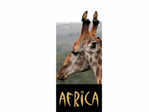African Animals Mag Mark