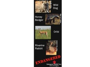African Animals Mag Mark