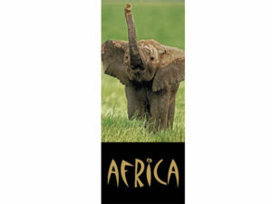 African Animals Mag Mark