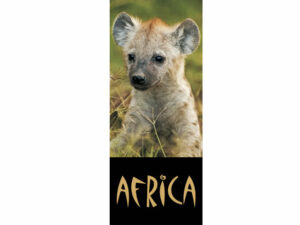 African Animals Mag Mark
