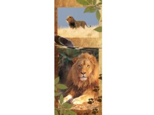 African Animals Mag Mark