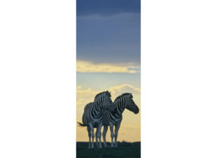 African Animals Mag Mark