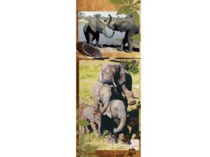 African Animals Mag Mark