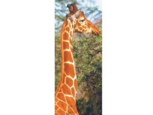 African Animals Mag Mark