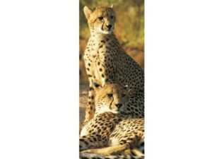 African Animals Mag Mark