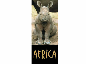 African Animals Mag Mark