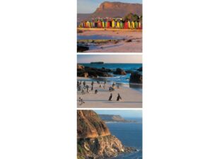 African Attractions Mag Mark