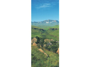 African Attractions Mag Mark