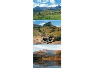 African Attractions Mag Mark
