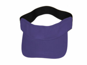 Birds Eye Visor