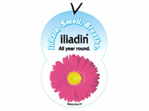 Car Air Fresheners
