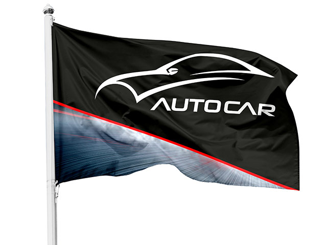 Champion Corporate Pole Flag 900 X 600 Mm