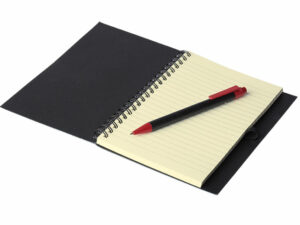 Coloured Stripe Notebook With Pen