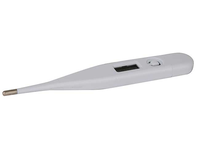 Digital Thermometer - Image 2