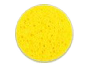 Face Sponge