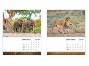 Fierce Cd Desk Calendars