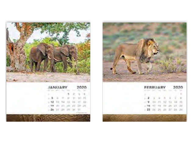 Fierce Cd Desk Calendars