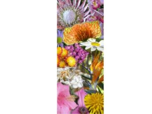 Flowers And Birds Mag Mark