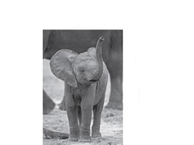 Fridge Magnet - Image 2