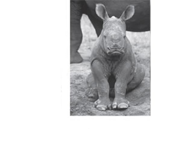 Fridge Magnet - Image 3