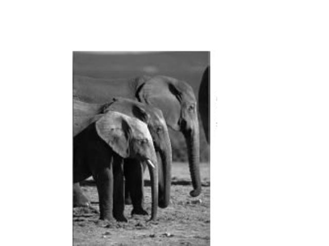 Fridge Magnet - Image 2