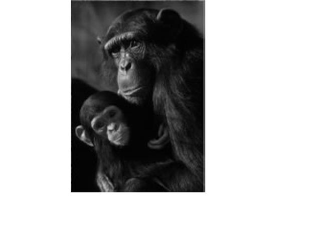 Fridge Magnet - Image 4