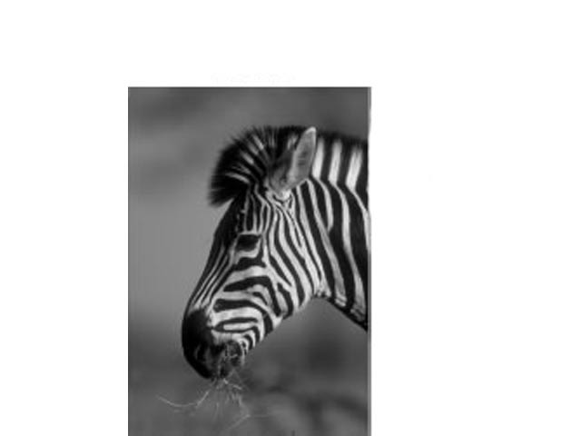 Fridge Magnet - Image 2