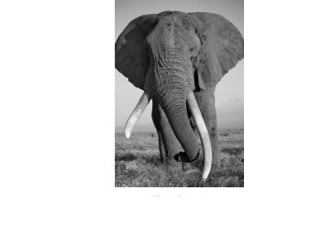 Fridge Magnet - Image 3
