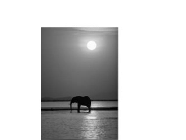 Fridge Magnet - Image 2