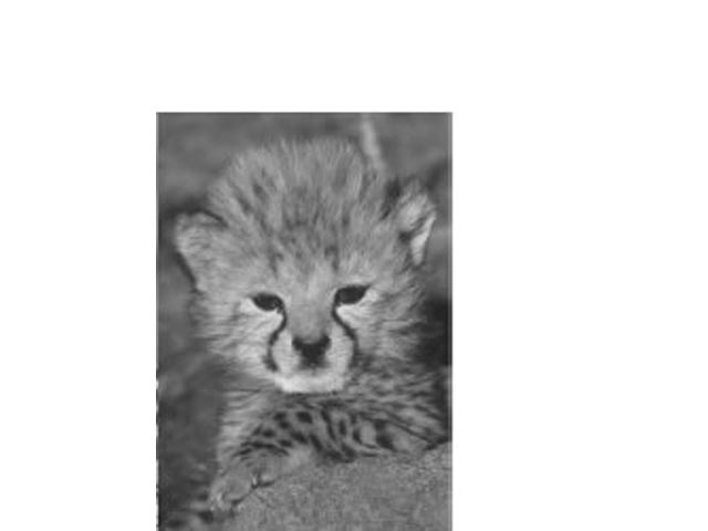 Fridge Magnet - Image 2